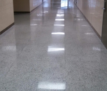 Final polish sealer only