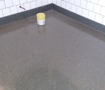 IMG_20160613_112035412